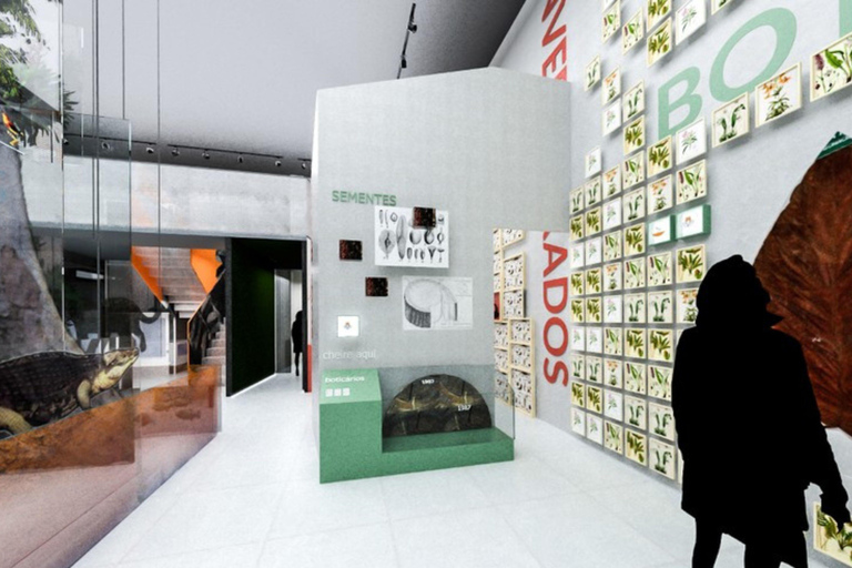 Private Tour in Manaus: Science Forest and Amazonas Theater