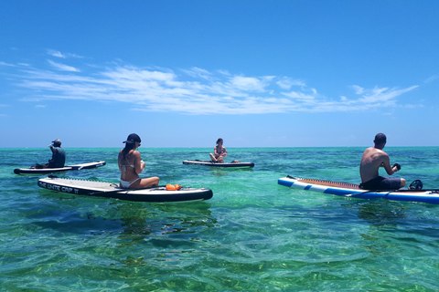Zanzibar: Unik guidad mangrovetur med SUP eller kajak