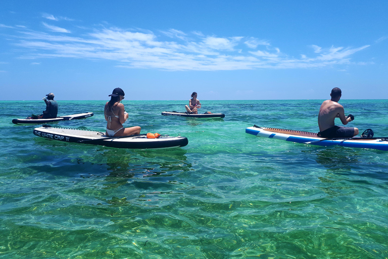 Zanzibar: Unik guidad mangrovetur med SUP eller kajak