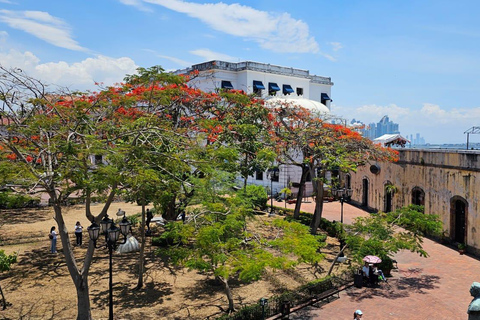 Panama City: Half Day Panama Canal & Old City Tour