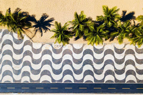 Rio de Janeiro: Modern Architecture Experience with Guide