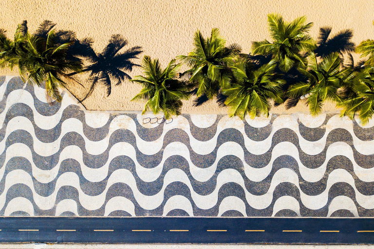 Rio de Janeiro: Modern Architecture Experience with Guide