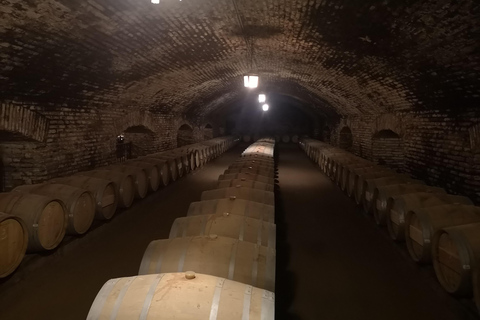 Tour de vinhos com 7 degustações + transporte particular + Lapis Lazuli