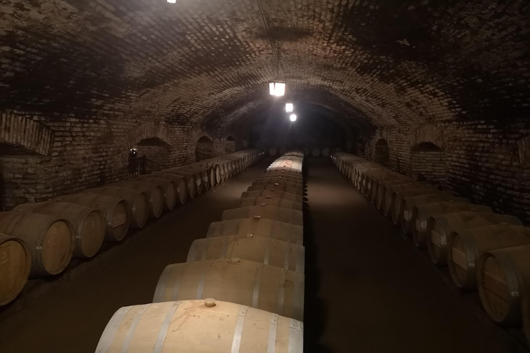 Tour de vinhos com 7 degustações + transporte particular + Lapis Lazuli