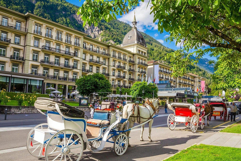 From Basel: Lucerne & Interlaken Day Trip by Panoramic Train 2nd Class
