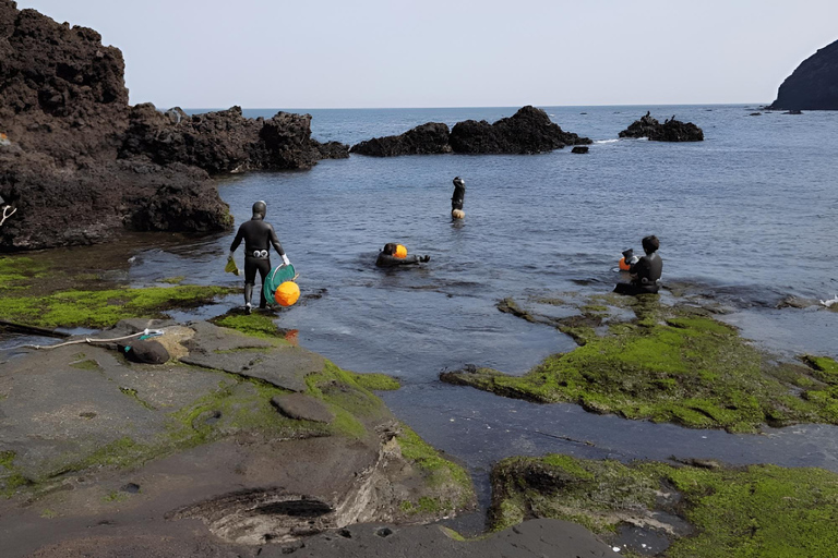 2024 Gira de Otoño por Jeju con el Festival Pink Muhly