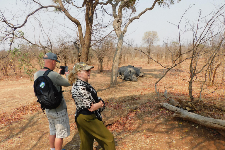 Livingstone: Game Drive and White Rhino Safari Short Walk