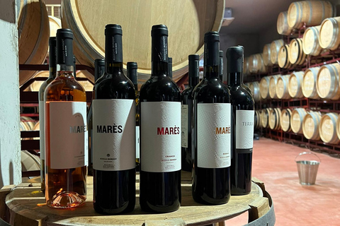 Palma : QI GONG chez BODEGAS BORDOY