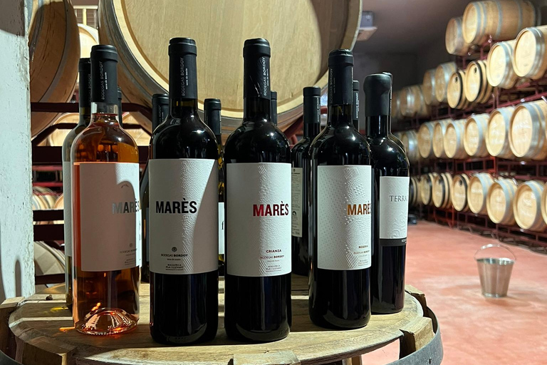 Palma: QI GONG bij BODEGAS BORDOY