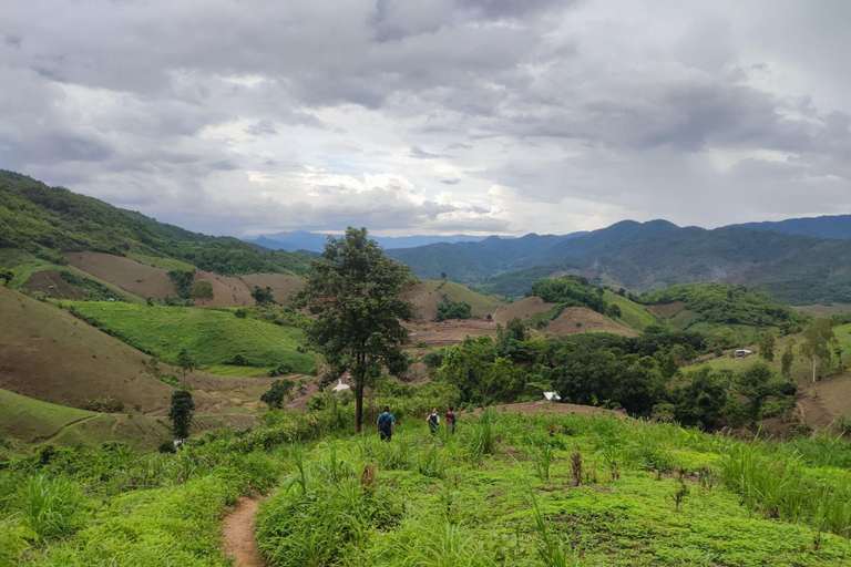 Chiang Rai: Jungle Adventure-Group Trekking & Bamboo Cooking