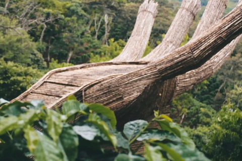 San José: La Chimba Mantra Trail 4x4 Tour & Coffee Tasting San José: 4x4Guided Mantra Trail Experience & Coffee Tasting