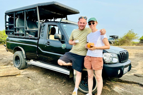 Ella to Hiriketiya via Safari, Falls & Scenic Stops