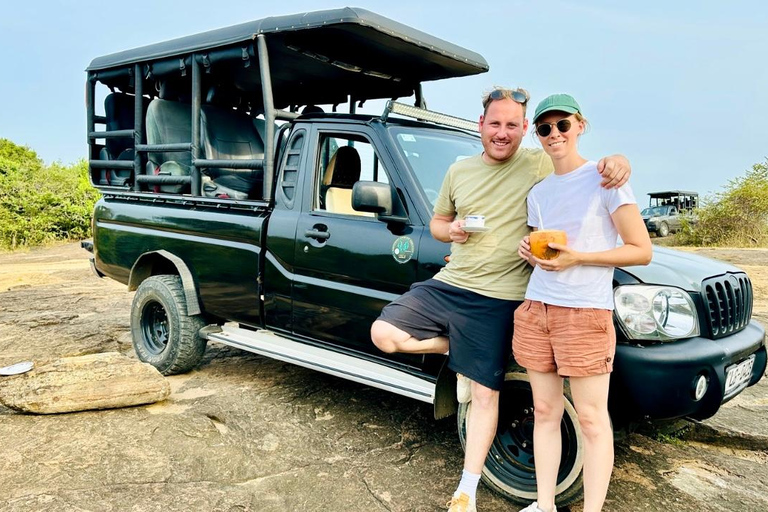 Ella to Hiriketiya via Safari, Falls & Scenic Stops