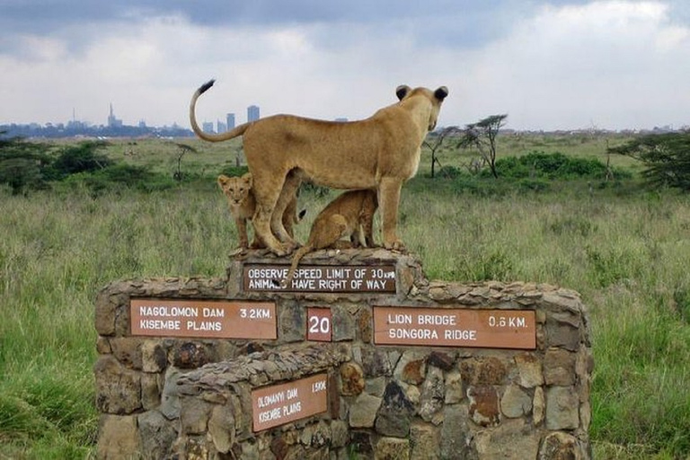 Game Drive w Parku Narodowym Nairobi