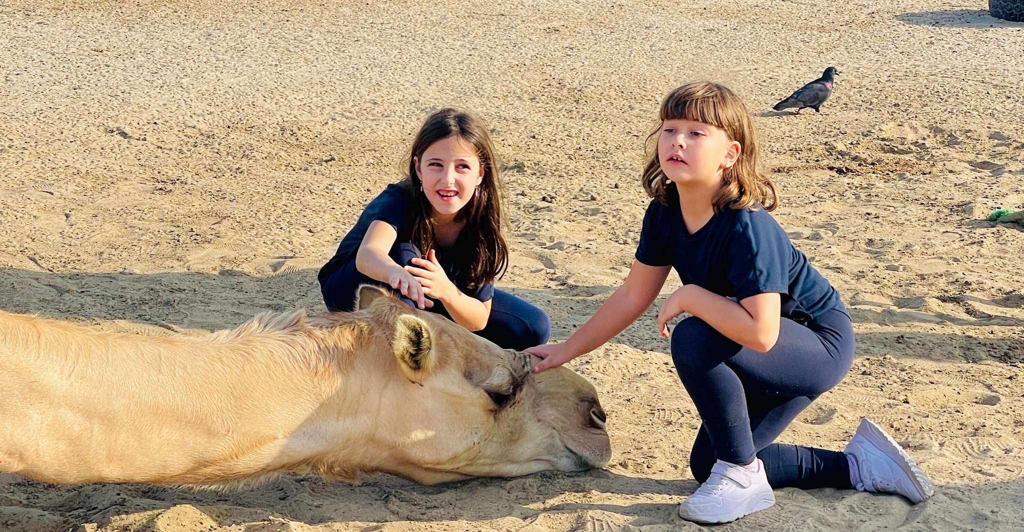 Around Bahrain For AIDAprima Tourists Shared Tour 5H photo 17