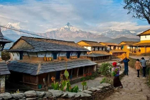 Pokhara : Trek de 3 jours à Astam, Dhampus et Australian CampPokhara : 3 jours de service