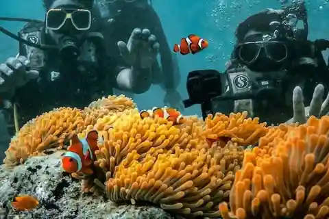 Andaman Adventure with Scuba Diving - 3 Nights 4 Days