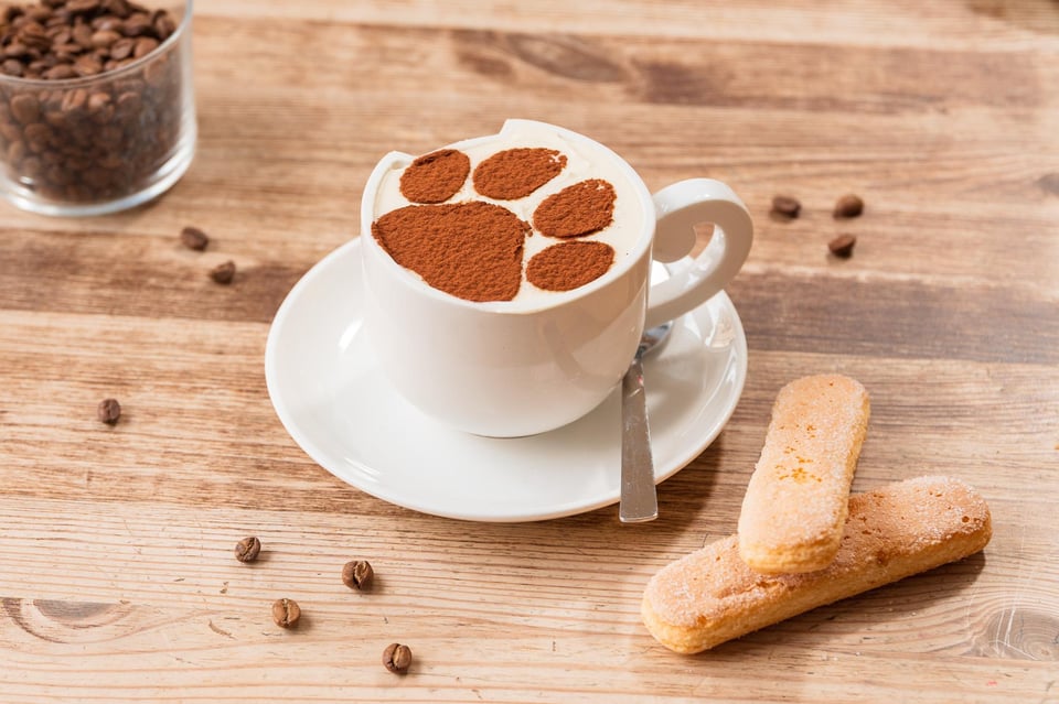 Snacks und Kleinigkeiten mit den Katzen im Crazy Cat Café, Dessert und Getränk inklusive Snacks und ...
