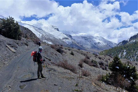 Presupuesto Katmandú o Pokhara: Trekking de 13 días por el Circuito de los Annapurnas