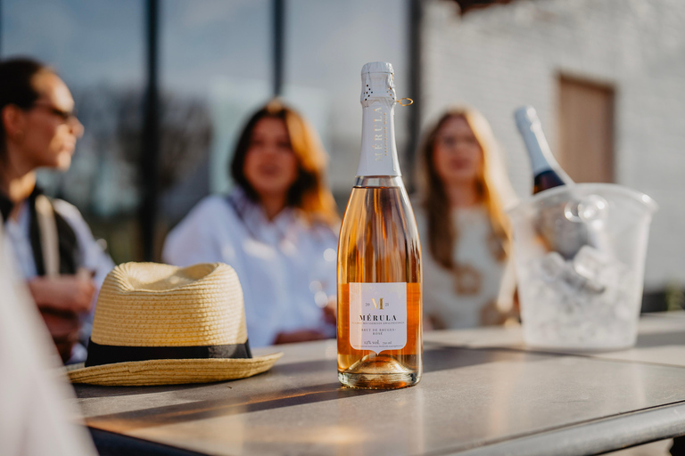 Boat trip & wine tour in Bruges