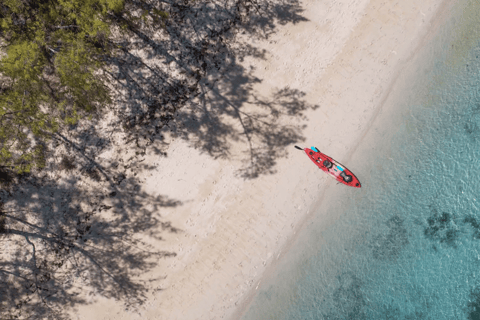Maurice : kayak, dauphins sauvages, île Benitiers, rivièreMaurice : Kayak, dauphins sauvages, île Benitiers, rivière