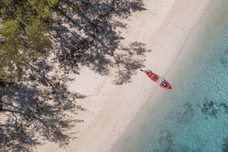 Maurice : kayak, dauphins sauvages, île Benitiers, rivièreMaurice : Kayak, dauphins sauvages, île Benitiers, rivière