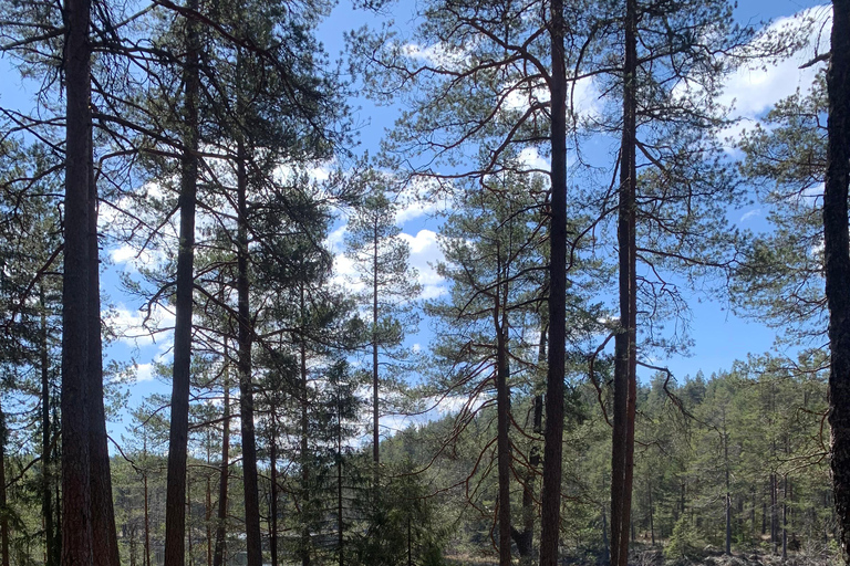 Oslo: escursione guidata nel Parco Nazionale di Østmarka con cibo cotto sul fuocoOslo: escursione guidata al Parco Nazionale di Østmarka con cibo sul fuoco