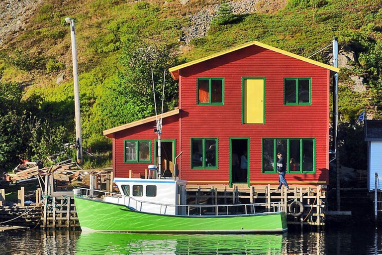 St. John's: Cape Spear and City Tour with Local Guide