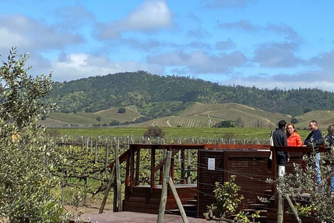 Casas del Bosque: Private Tour with Food Tasting/Lunch + Viña del Mar/Valparaiso