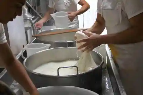 De Rome : Atelier de fabrication de fromages artisanaux et gastronomie