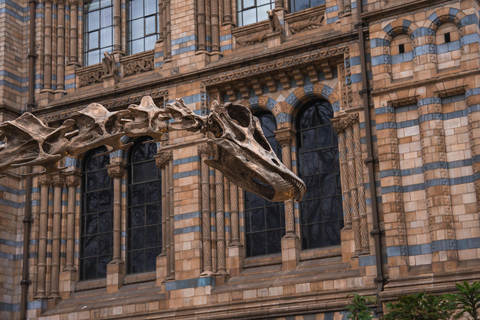 London: Natural History Museum Express Tour & Audio App