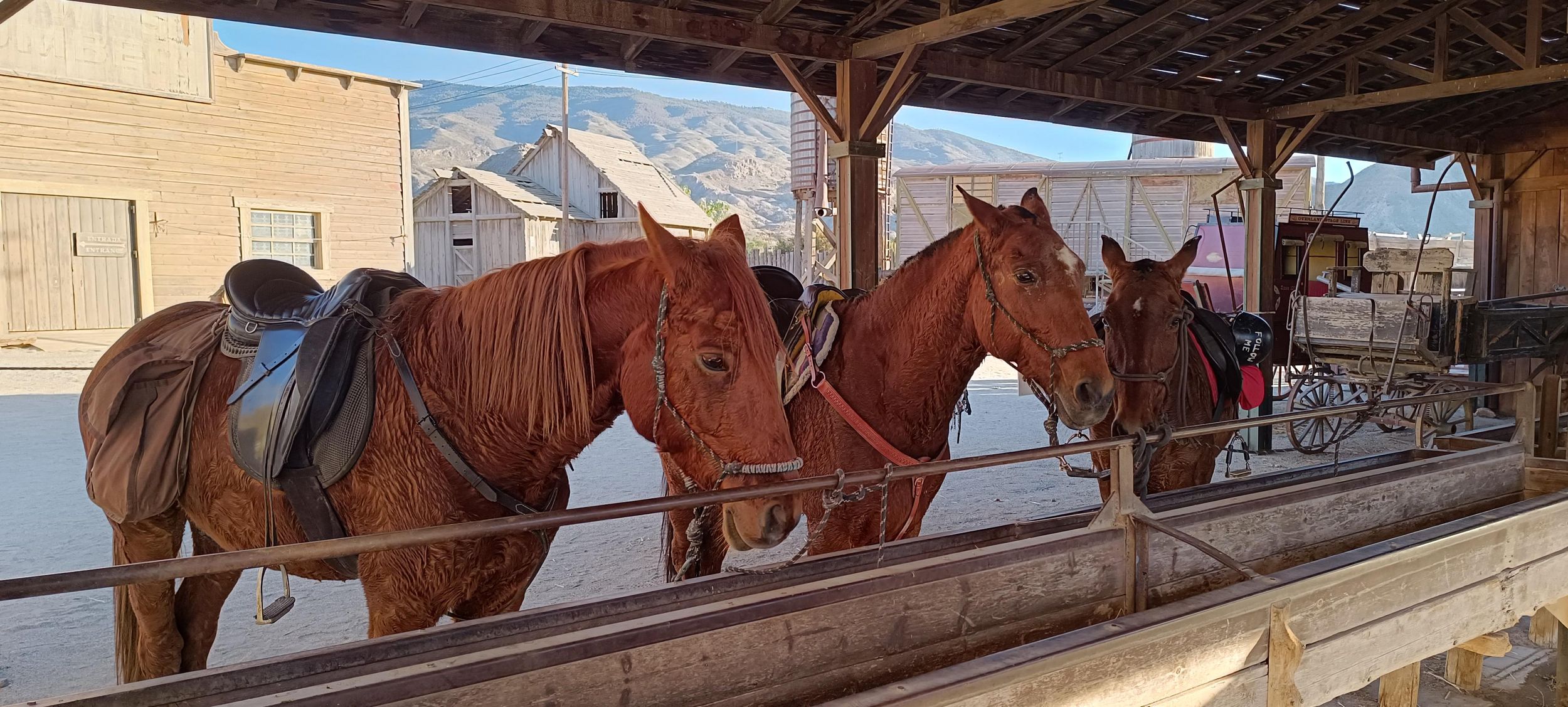 3-Tages-Paket: Abenteuer zu Pferd in der Wüste von Tabernas