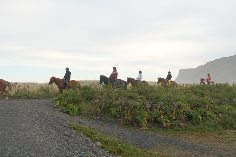 From Skarfabakki: South Coast Tour w/ Solheimajokull Glacier