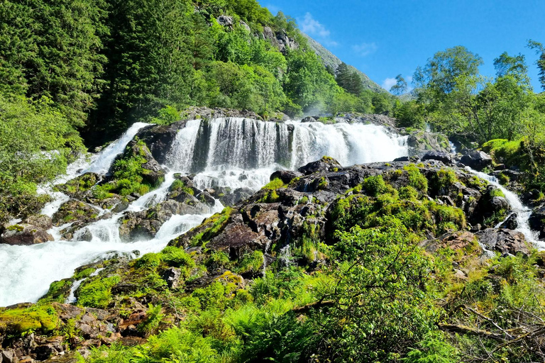 Bergen: Cruise to beautiful Rosendal by the Hardangerfjord
