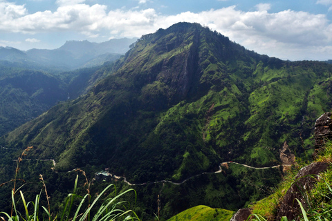 From Hikkaduwa: Ella Private Day Trip with Train Ride