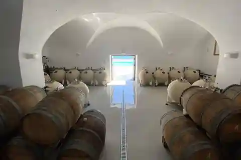 Santorini Private Wine Exprerience: 3 Wineries &Local Snacks