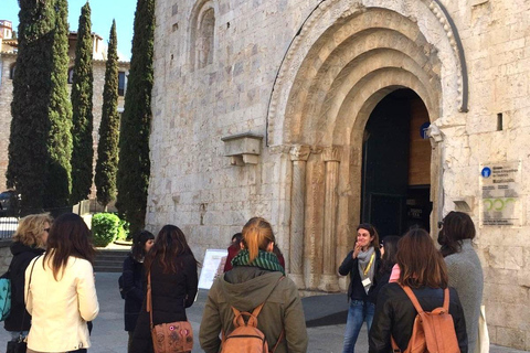 From Barcelona: Girona Guided Day Trip with Cathedral Entry Girona Walking Tour & Cathedral Entry