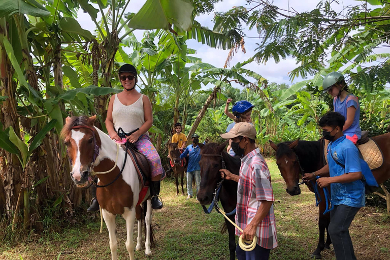 Phuket Jungle Horseback Ride with Scenic Forest Views Adventure Trail (2 Hrs)