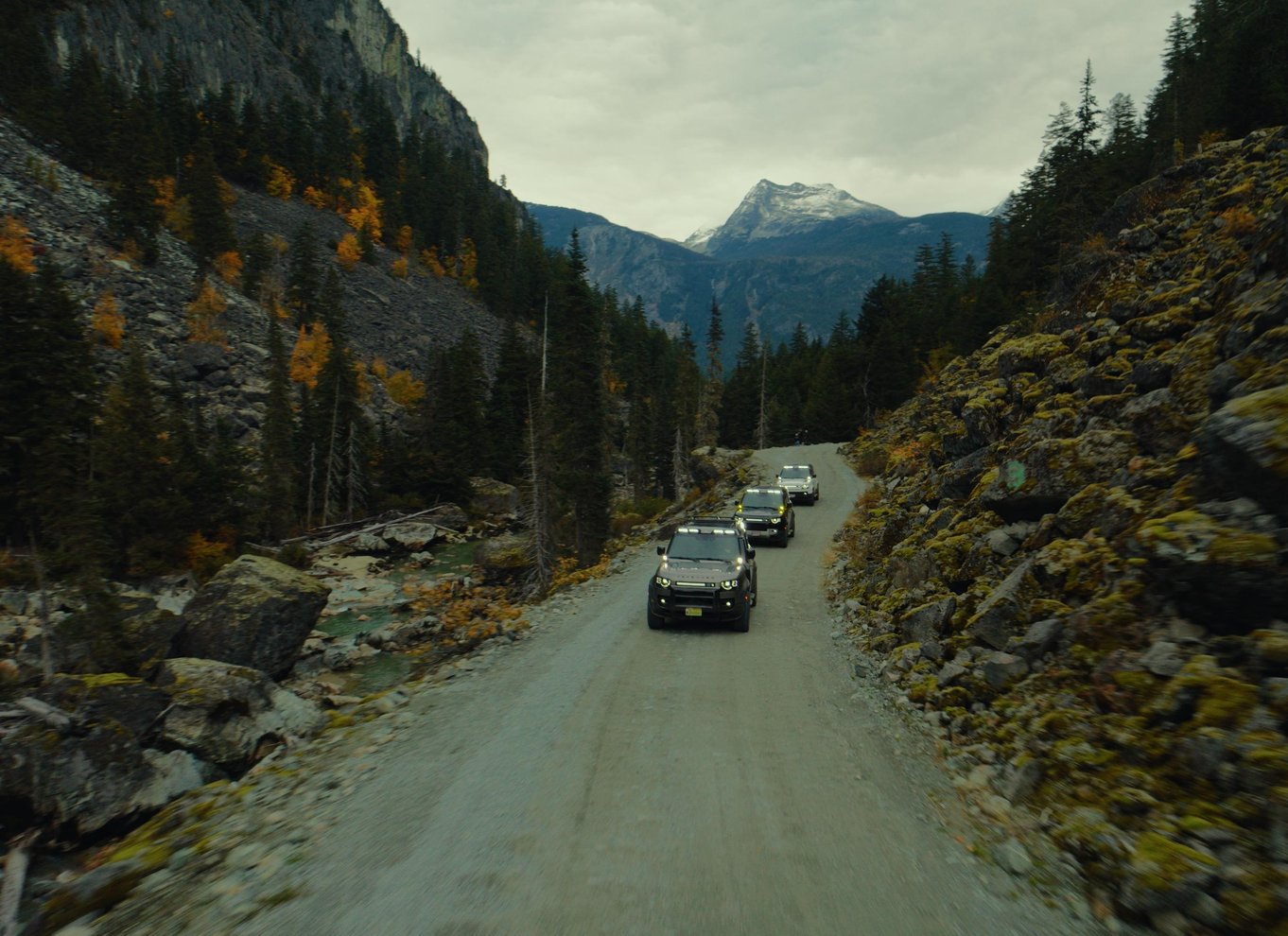 Whistler: Morgen med bjørnene Land Rover naturskøn udflugt