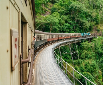 Cairns: Best of the Kuranda Rainforest Full-Day Tour & Lunch