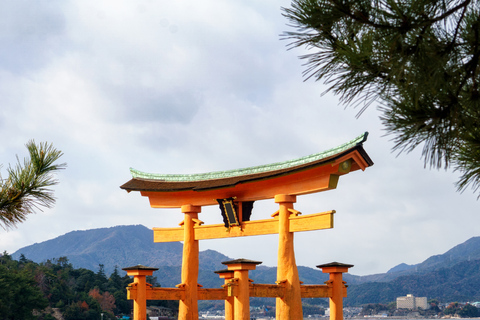 Tokyo: Nikko Kegon Falls Lake Chuzenji Toshogu Temple & More From Tokyo: Nikko Unesco Customised Private Tour In Prado