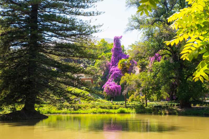 Santa Rita Sc Santa Rita: Ultra Premium Wine Tasting, Tour and Transport | GetYourGuide