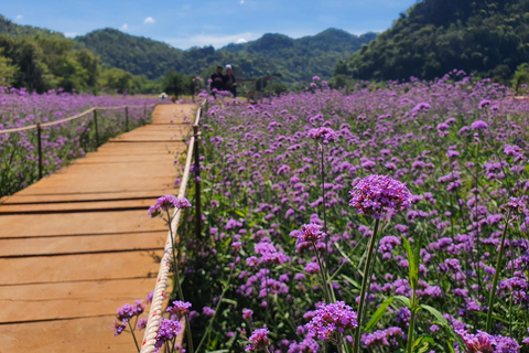 Khao Yai: Private Custom Tour with Driver From Bangkok Premium Car 1 Day (Group of 3)