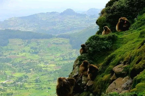 Addis Ababa: Simien Mountains 10-Day Trekking Tour Addis Ababa: Simien Mountains 10-Day Trekking Tour