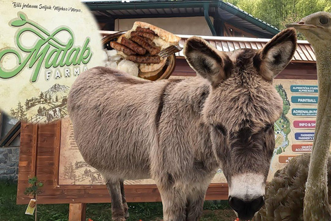 From Sarajevo: Tour to 3 unique farms