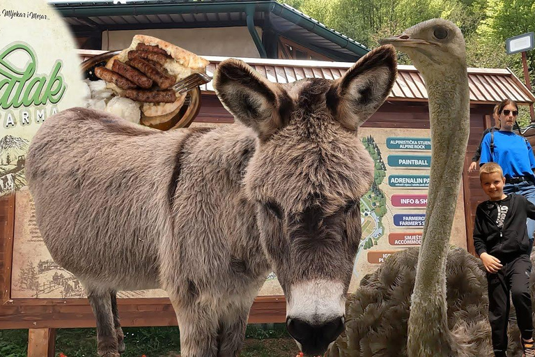 From Sarajevo: Tour to 3 unique farms