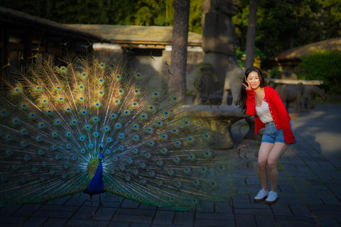 Profesjonalne doświadczenie fotograficzne w Jeju LandmarkPOŁUDNIE (PONIEDZIAŁEK/ŚRODA)