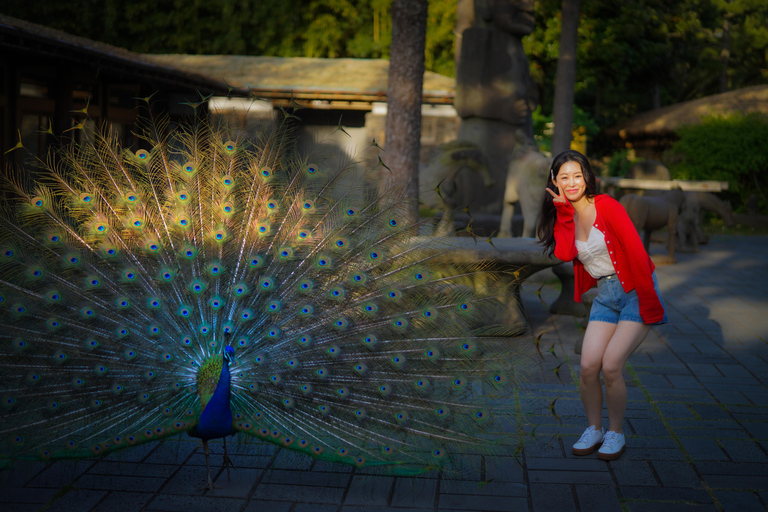 Professionele fotografie-ervaring in Jeju LandmarkZUID (MA/ZO)