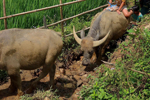 Sapa Eendaagse Trek: Rijstterrassen &amp; Etnische Dorpen