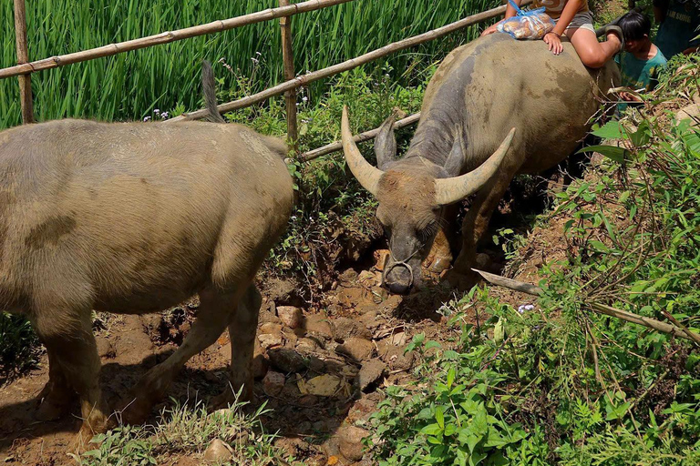 Sapa Eendaagse Trek: Rijstterrassen &amp; Etnische Dorpen